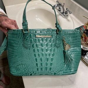 Brahmin Purse